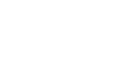 Logo Pearl Services